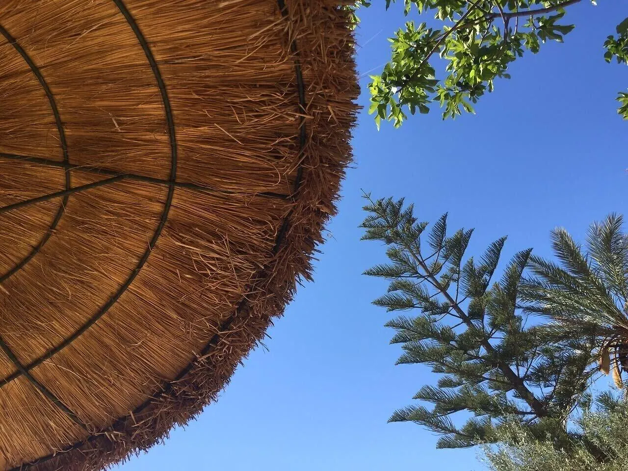 Agroturisme Son Barceló Mas Campos  Agroturismo