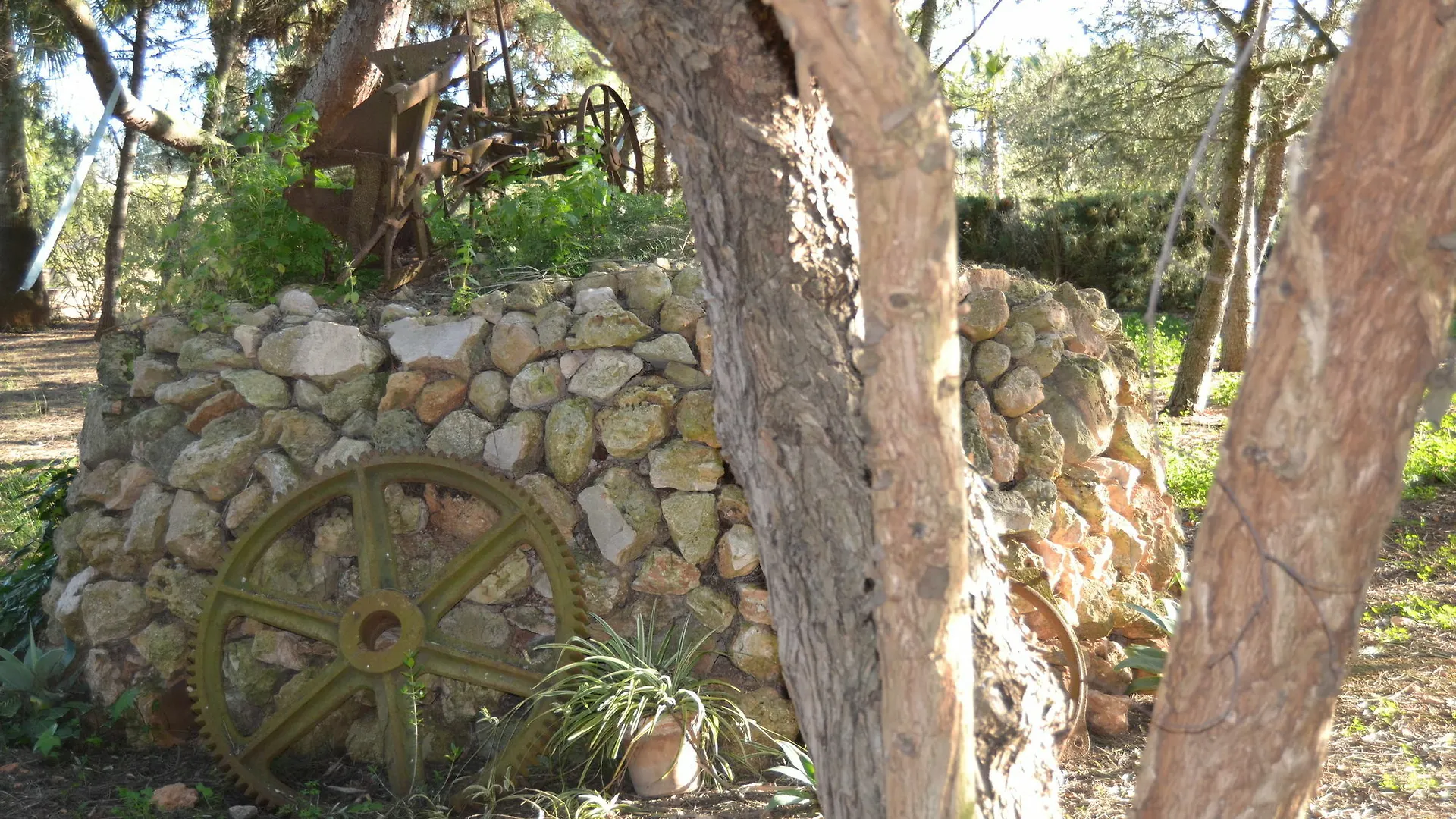 Agroturismo Agroturisme Son Barceló Mas Campos